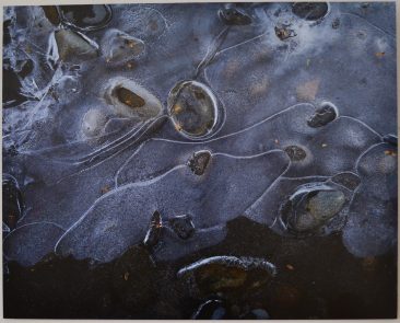 Jeff Harrison. Serija "Perėjimas" IV. 2016-2017